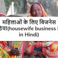 housewife business ideas in Hindi